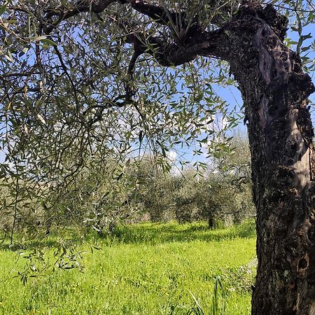 Casalpiano Βίλα Ορβιέτο Εξωτερικό φωτογραφία